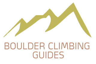 BCG Logo